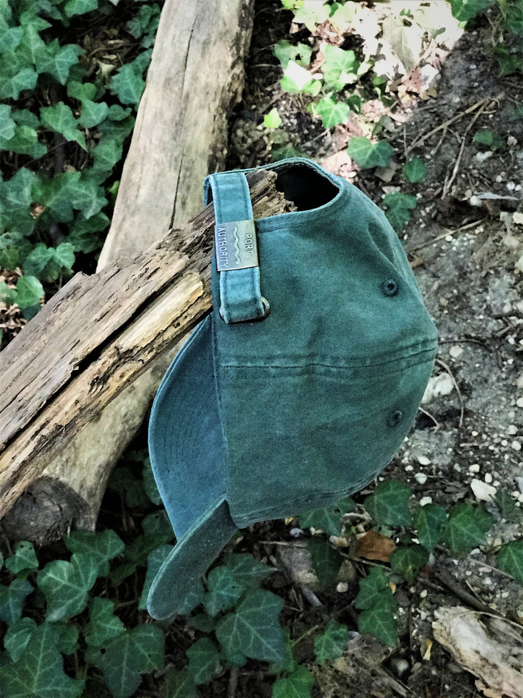 TAKE A HIKE Green or Vintage Black Dad Hat