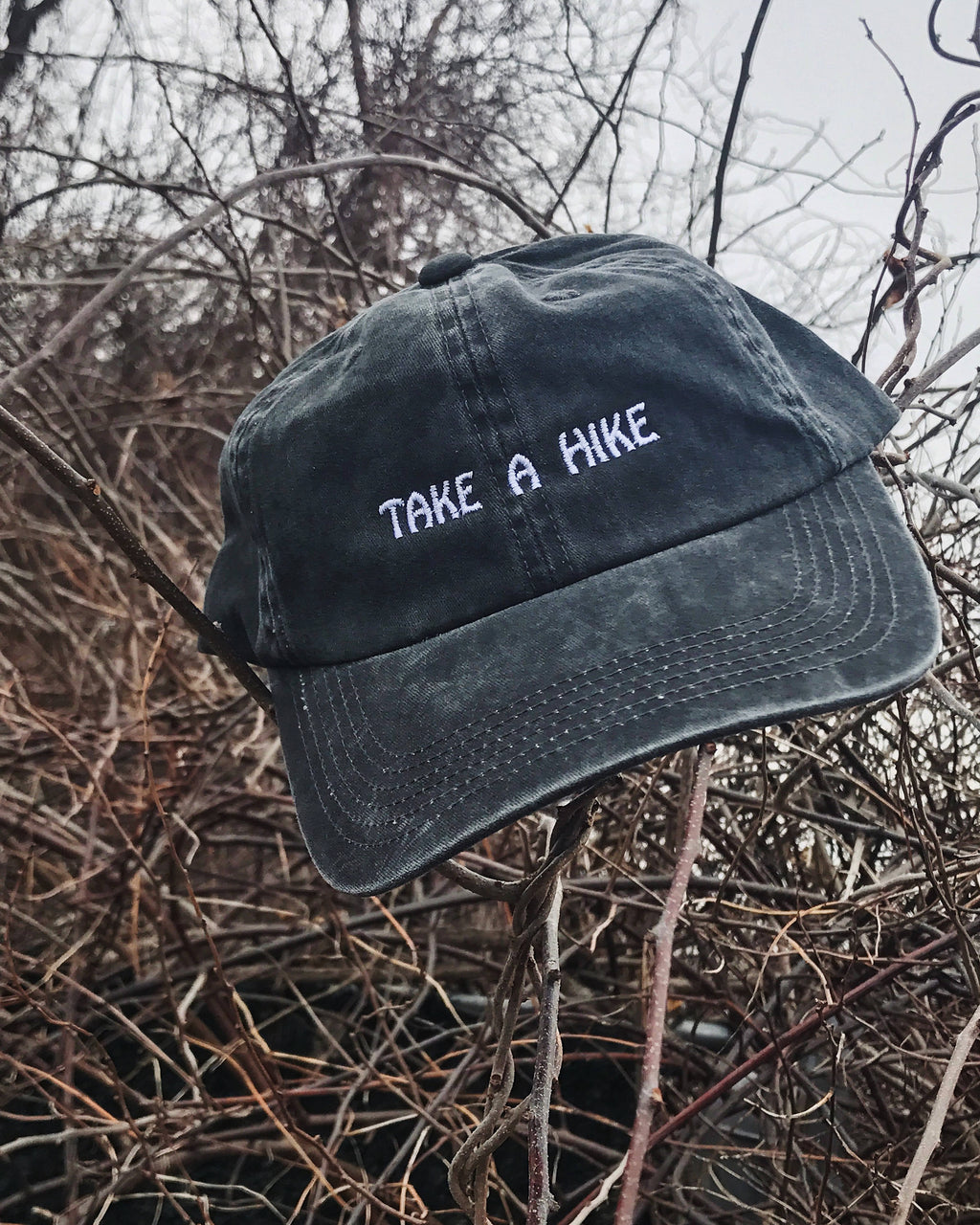 TAKE A HIKE Green or Vintage Black Dad Hat