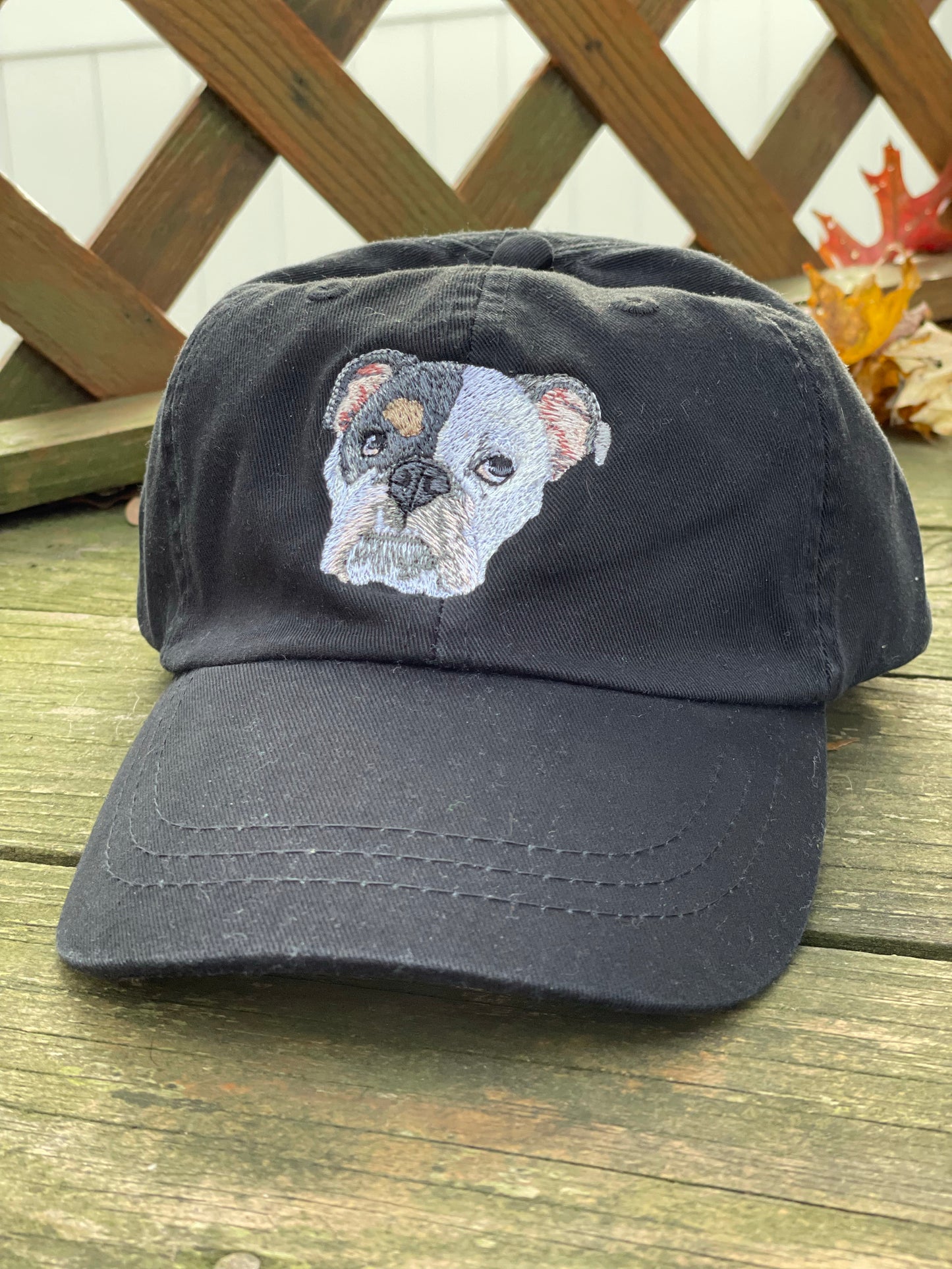 Your Pet on Hat